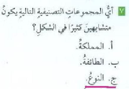 أختار أي المجموعات التصنيفية التالية يكون أفرادها متشابهين كثيرا في الشكل - المكتبة التعليمية